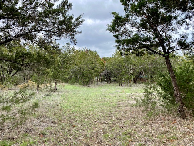 a big yard with lots of green space and trees