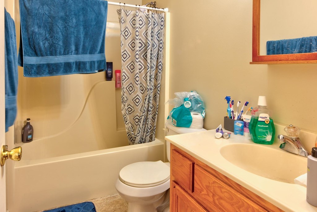 215 Carr Road Seymour, TN 37865 - Photo 4 of 15 Gallery Image 4