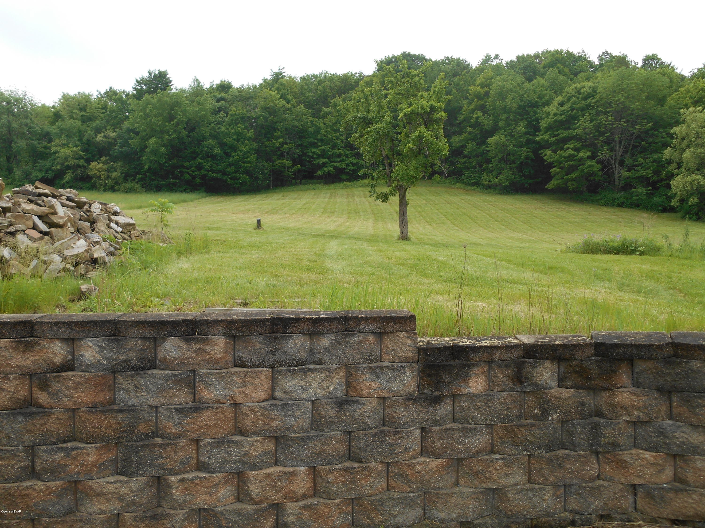 1044 Lusk Run Road Mill Hall, PA 17751 - Photo 5 of 11 BACK LOOKING AT ACERAGE