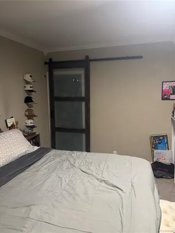a bedroom with a bed and a closet