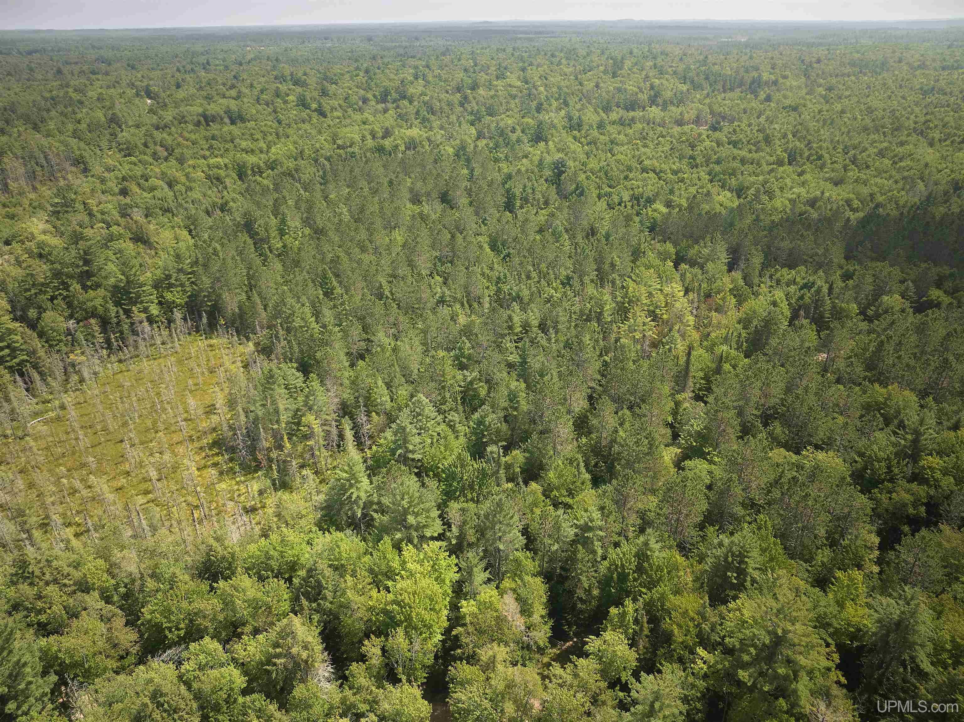 E7163 Doe Lake Road, Unit E5644 AUTRAIN RIVERVIEW Munising, MI 49862 - Photo 7 of 27 Gallery Image 7