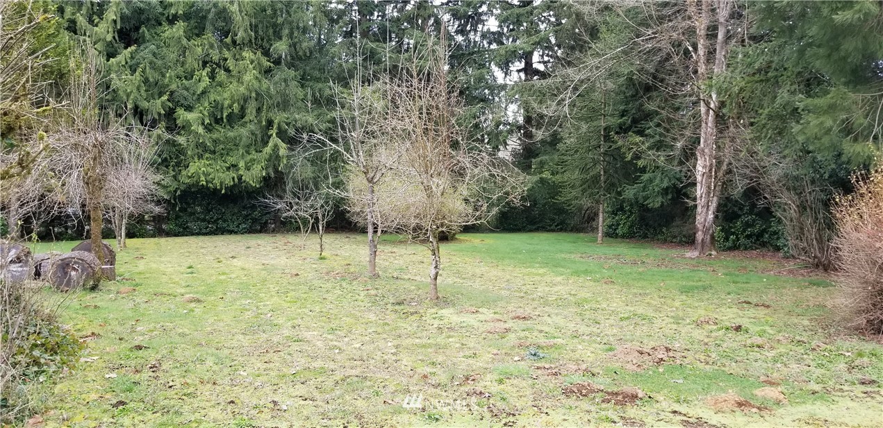 374 View Ridge Road Onalaska, WA 98570 - Photo 28 of 33 Gallery Image 28
