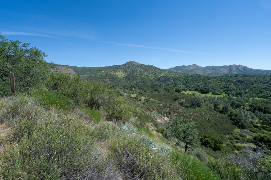 408901 North Fork Road Coalinga, CA 93210 - Photo 61 of 97 Gallery Image 61