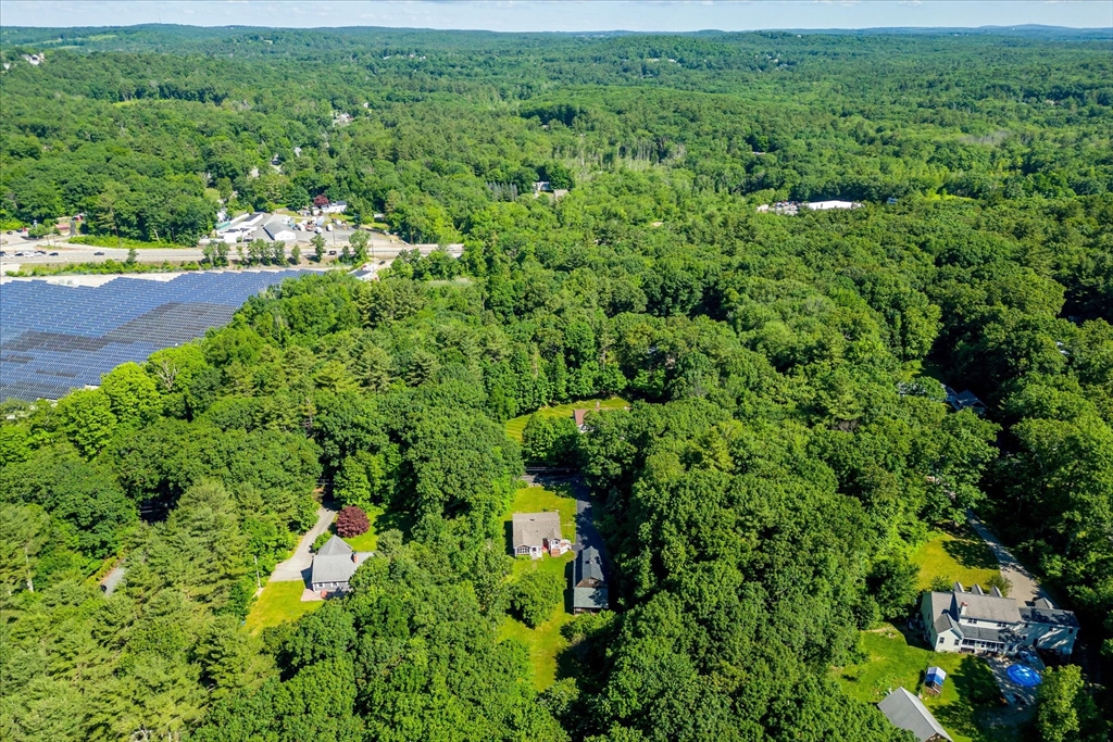 26 Bay Path Road Charlton, MA 01507 - Photo 32 of 38 a view of a lush green forest with lots of trees