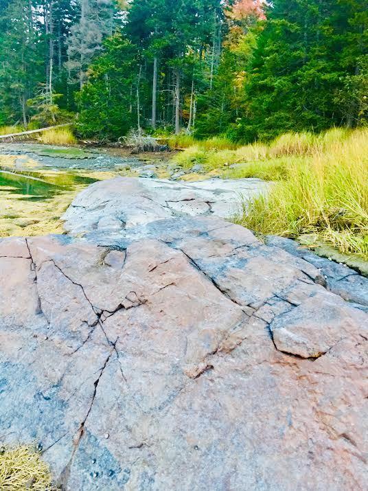 Off Pleasant Point Road Cushing, ME 04563 - Photo 13 of 28 0-15