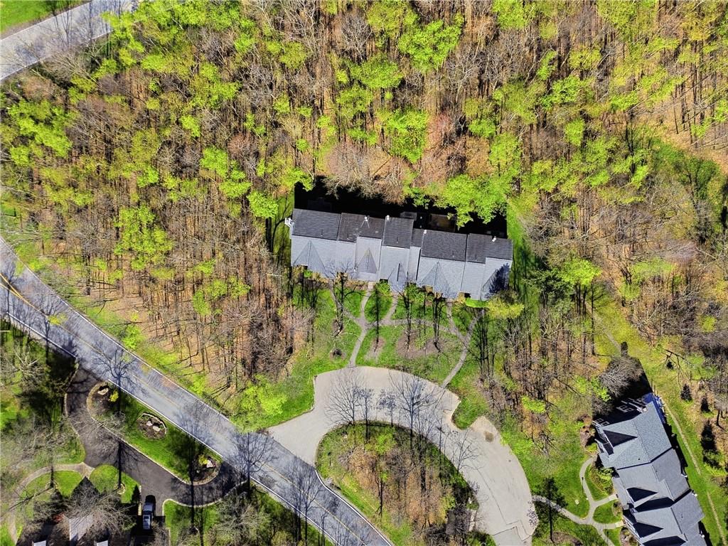 1627 Snowfield Way Hidden Valley, PA 15502 - Photo 32 of 38 a bird view of a garden