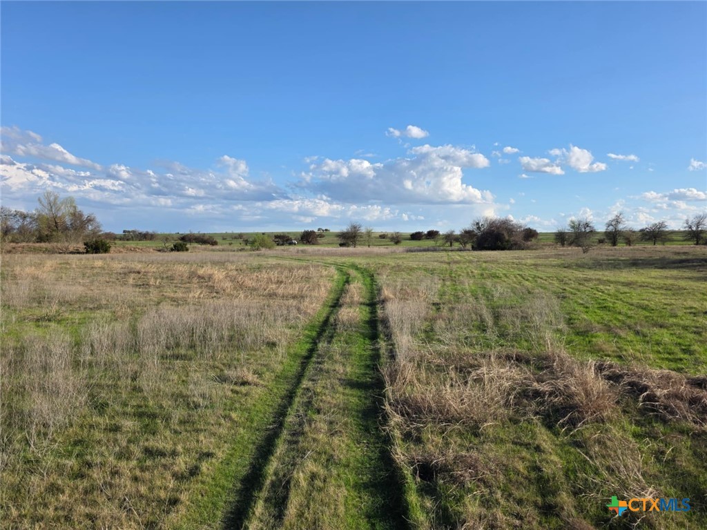 Lot 3 Hackberry Ranchettes Hackberry Road Salado, TX 76571 - Photo 11 of 13 a view of an outdoor space and yard