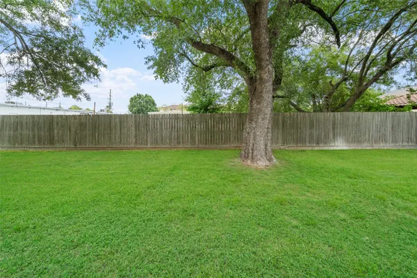 a view of a backyard with wooden fence and a large tree