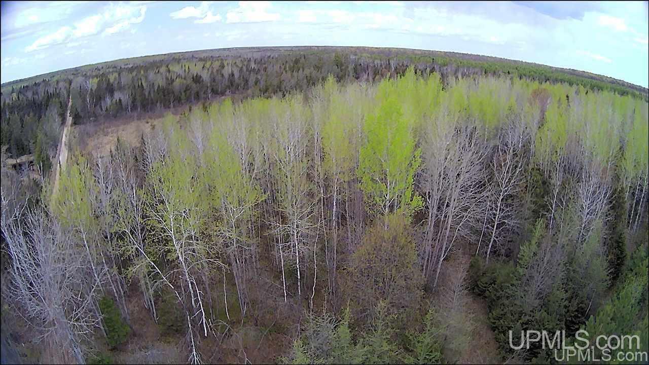 Tbd Tbd Co Road, Unit 1 Marquette, MI 49855 - Photo 21 of 50