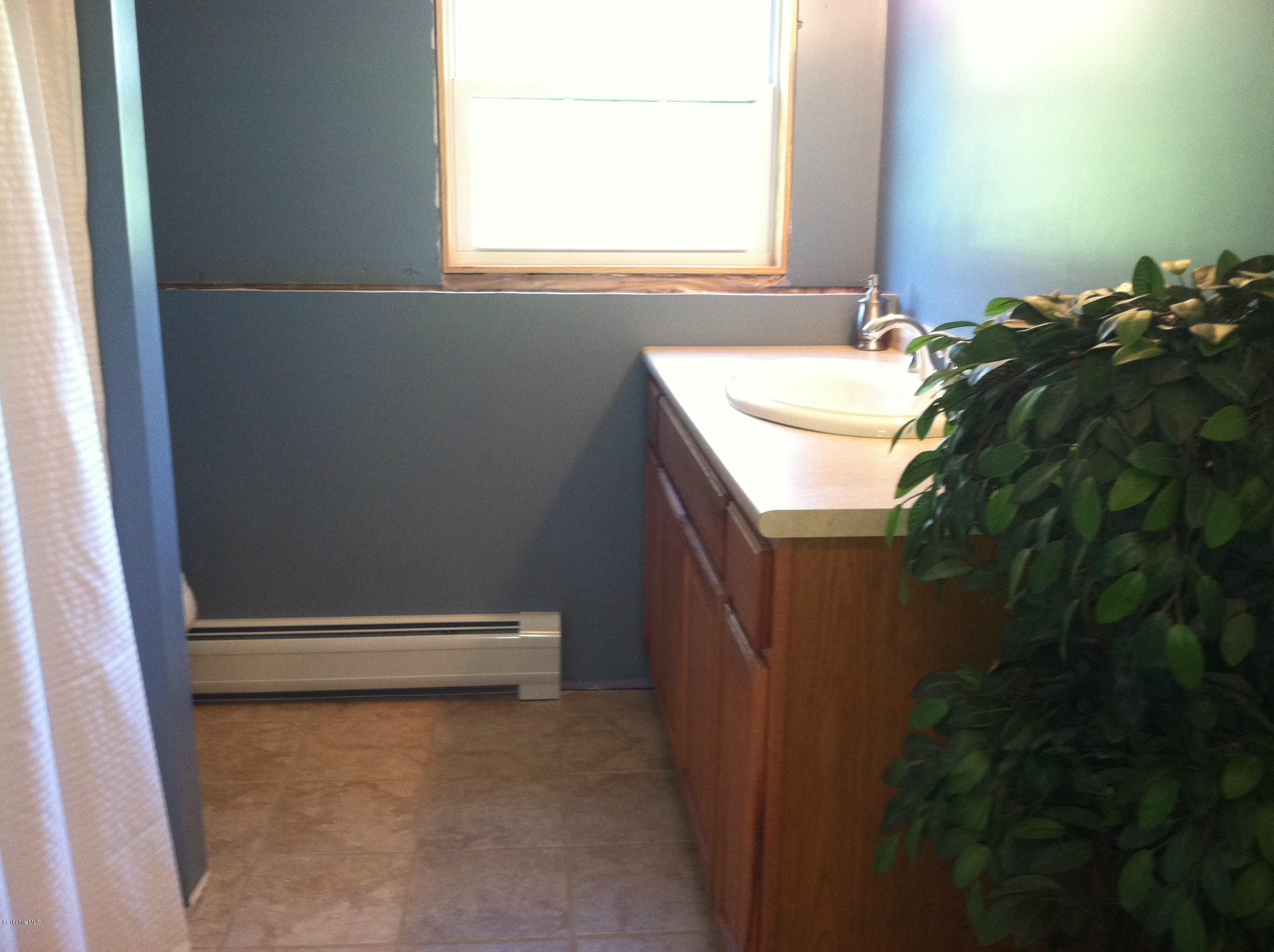 65 Swamp Road Lanesborough, MA 01224 - Photo 26 of 35 Lower bathroom