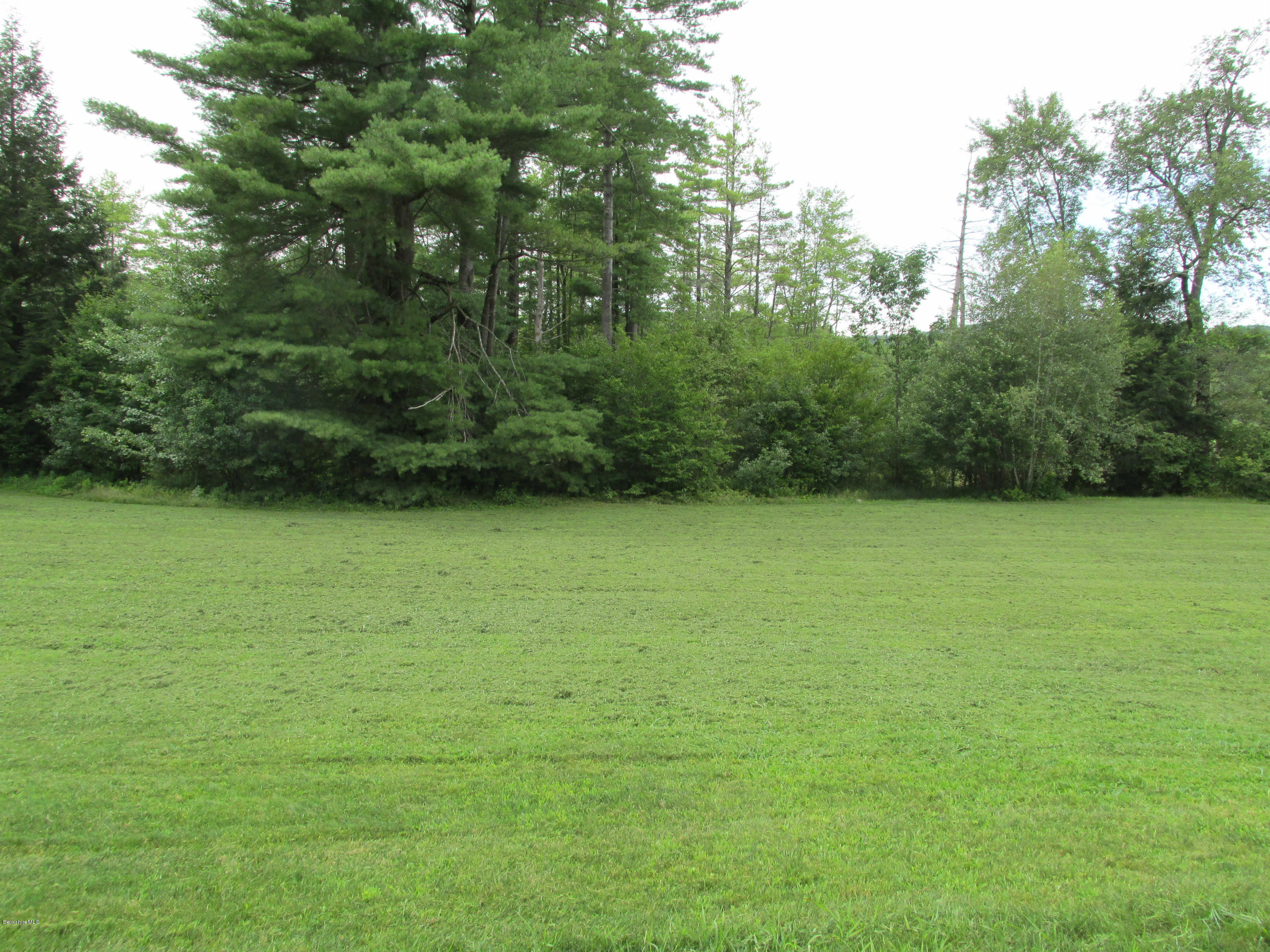 65 Swamp Road Lanesborough, MA 01224 - Photo 27 of 35 Back Yard