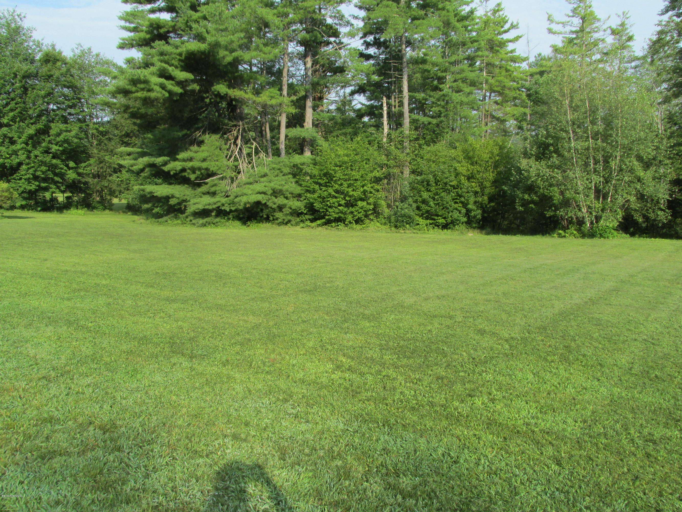 65 Swamp Road Lanesborough, MA 01224 - Photo 28 of 35 Back Yard