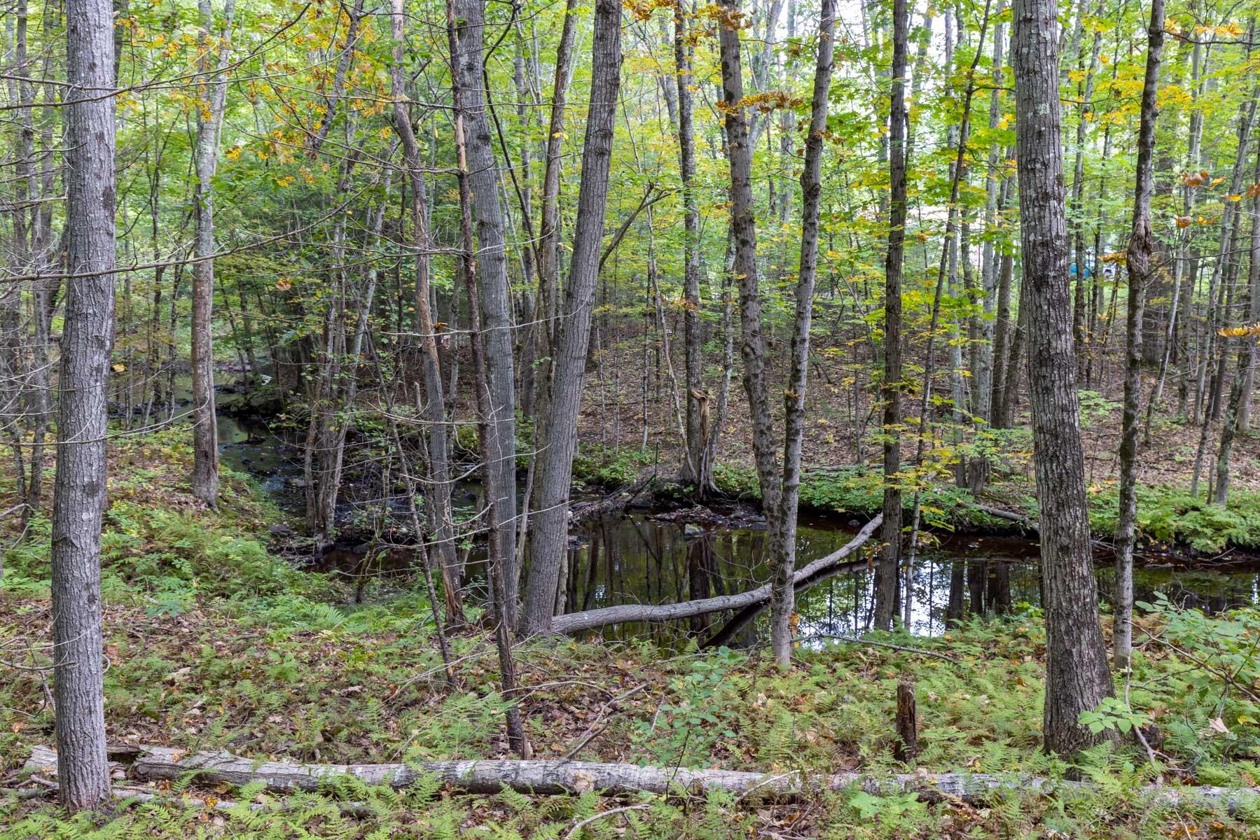 298 Alewive Road Kennebunk, ME 04043 - Photo 43 of 43 Secoast-Re-Photos-72