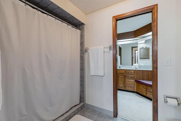 a white toilet sitting next to a shower curtain