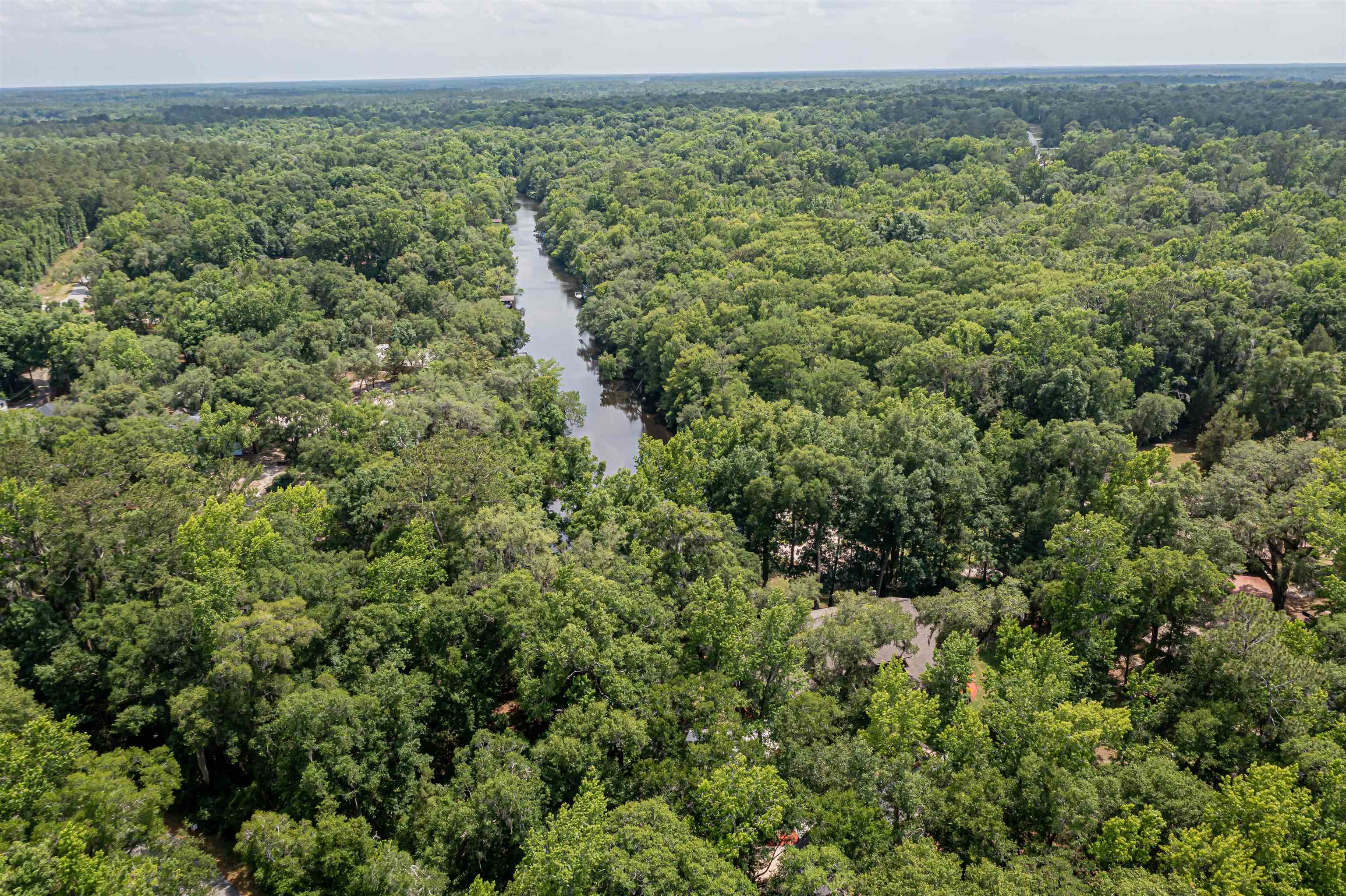 2321 Halperns Way Middleburg, FL 32068 - Photo 57 of 63 a view of a green field with lots of bushes