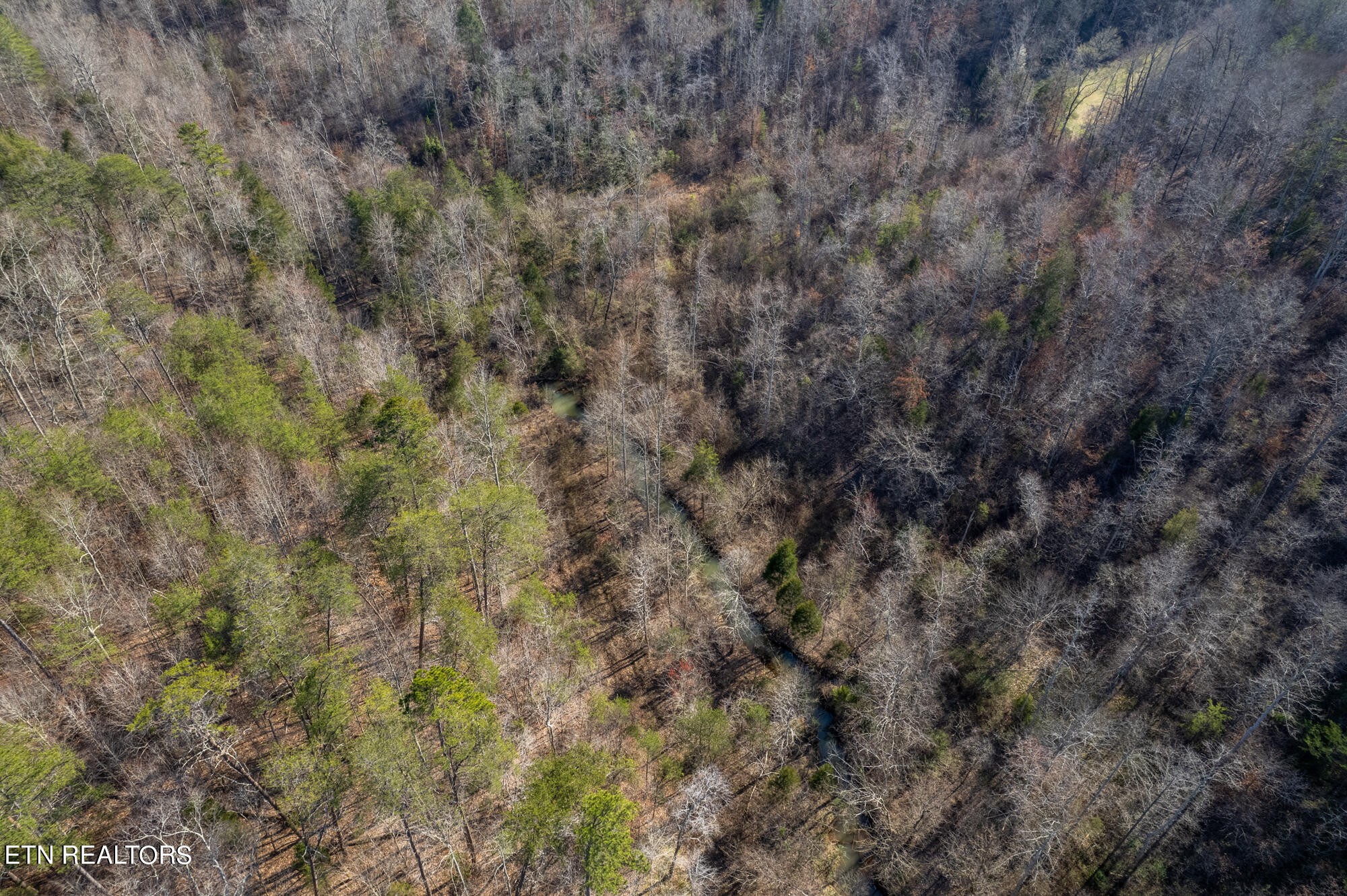 0 Bethlehem Road Madisonville, TN 37354 - Photo 9 of 12 Gallery Image 9