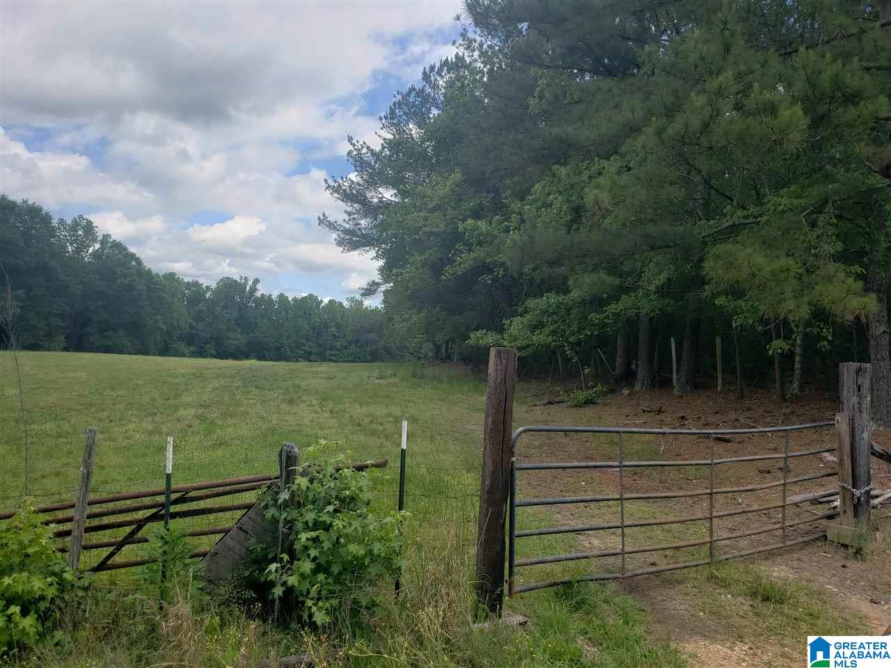 0 County Road 36 Heflin, AL 36264 - Photo 2 of 11
