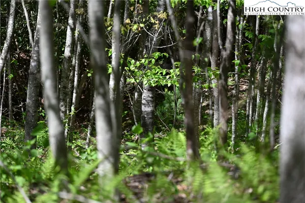 $17,500 | 11 Knob Hill Drive, Todd, NC 28684