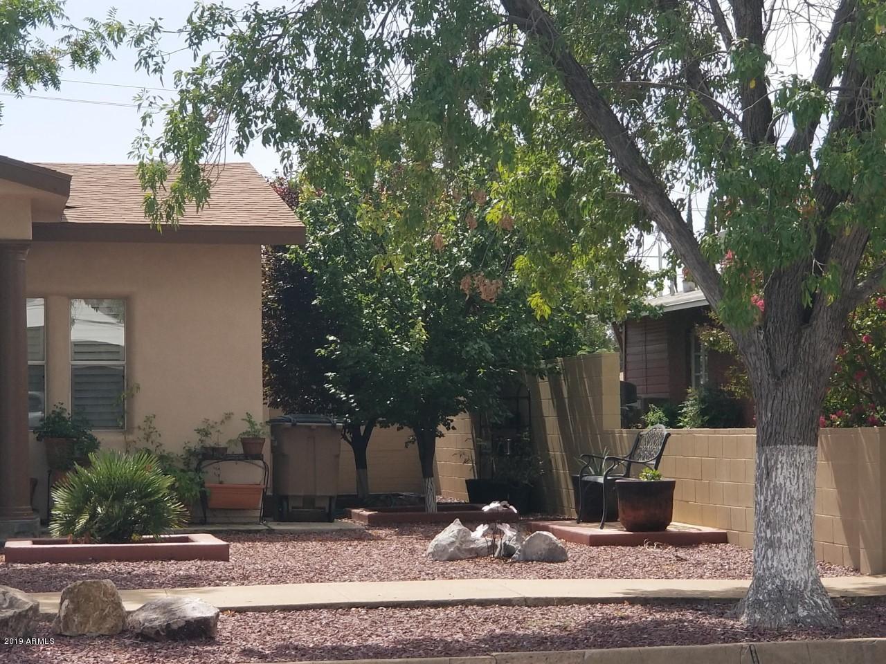 1543 11th Street Douglas, AZ 85607 - Photo 24 of 24 1543 11th front yard