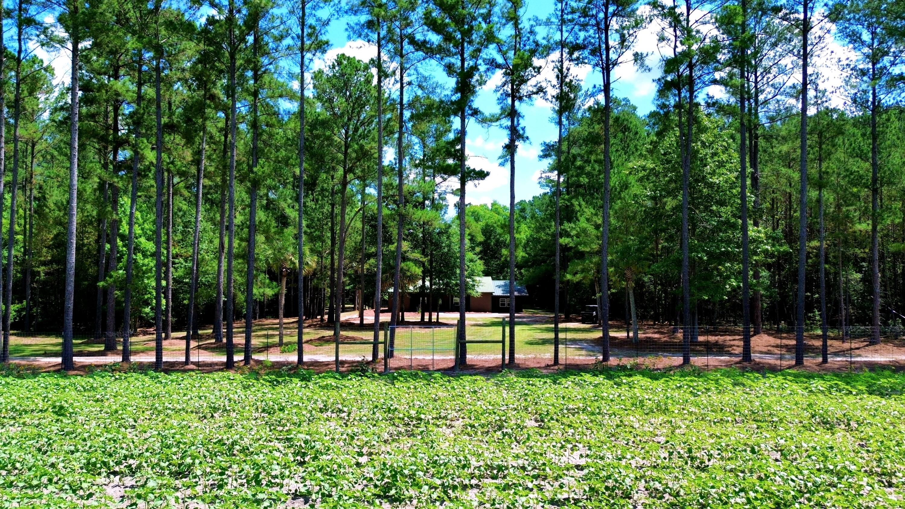 1970 Cross Swamp Road Islandton, SC 29929 - Photo 54 of 150