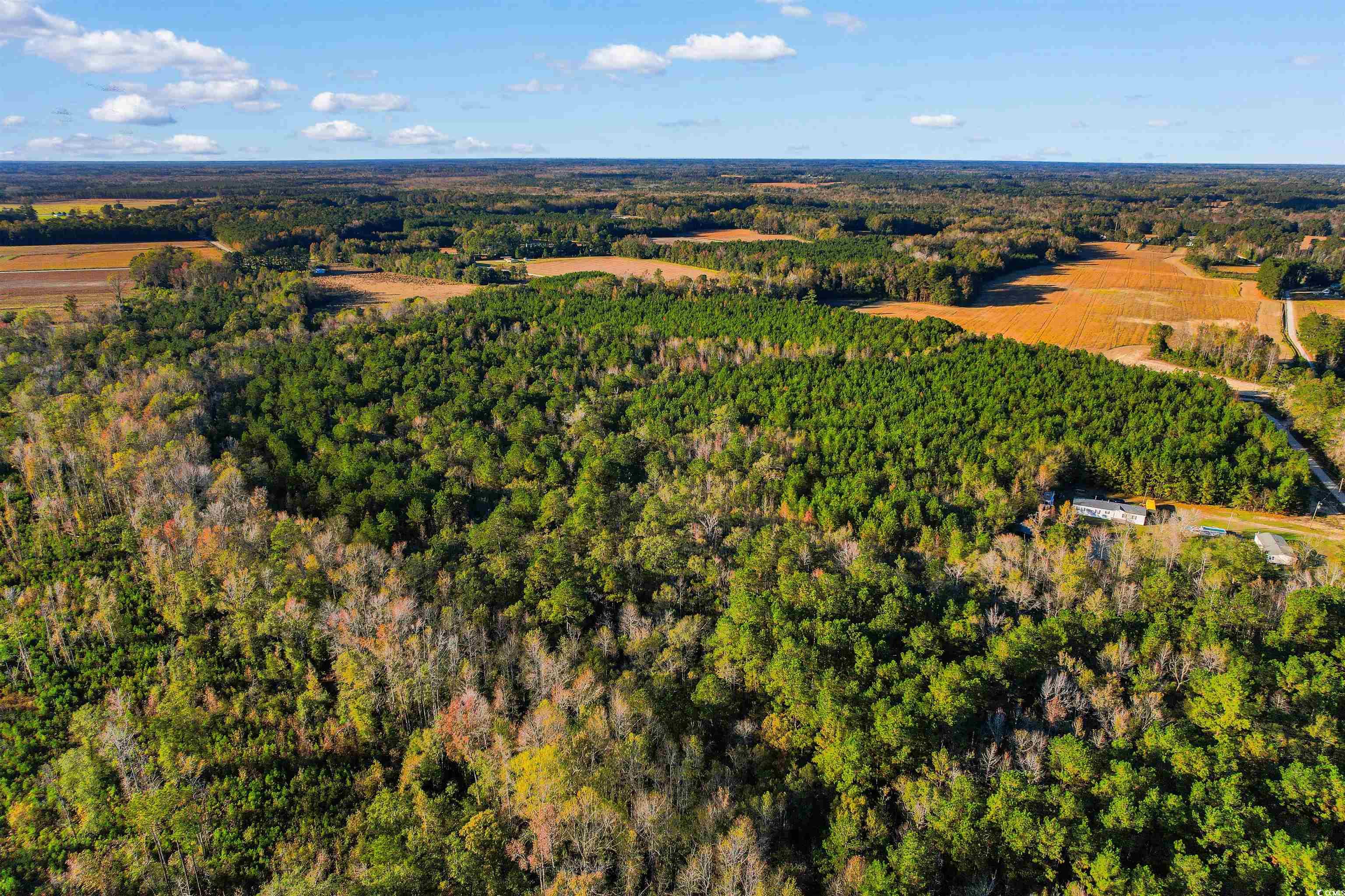 Tbd-lot 5 Oneal Road Loris, SC 29569 - Photo 11 of 13 Drone / aerial view