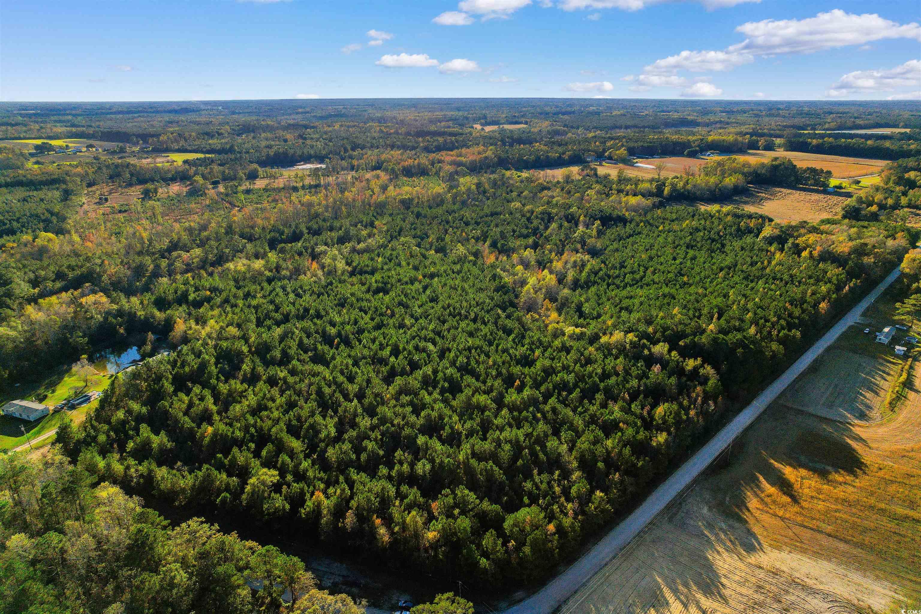 Tbd-lot 5 Oneal Road Loris, SC 29569 - Photo 13 of 13 Drone / aerial view