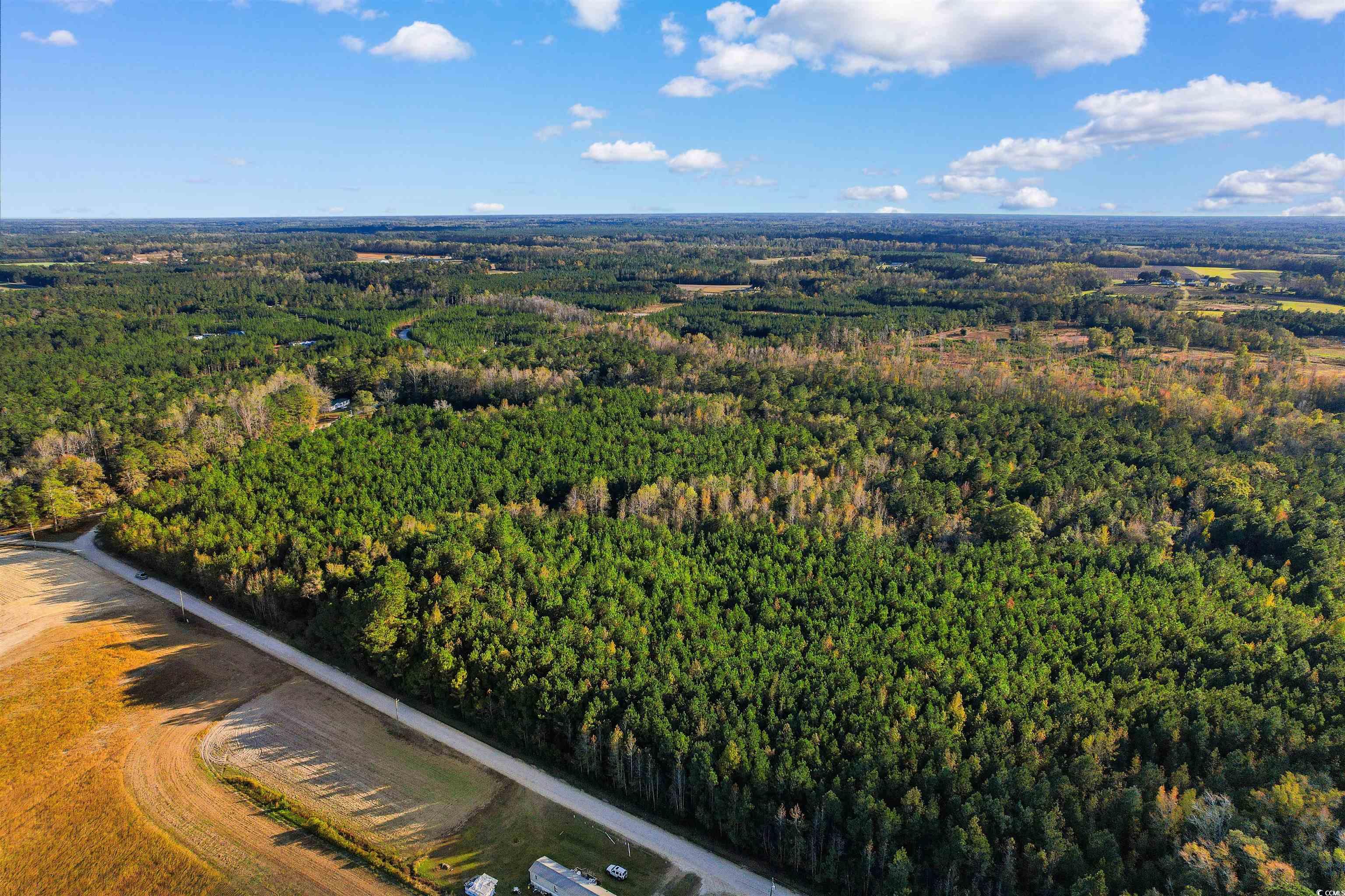 Tbd-lot 5 Oneal Road Loris, SC 29569 - Photo 7 of 13 Birds eye view of property
