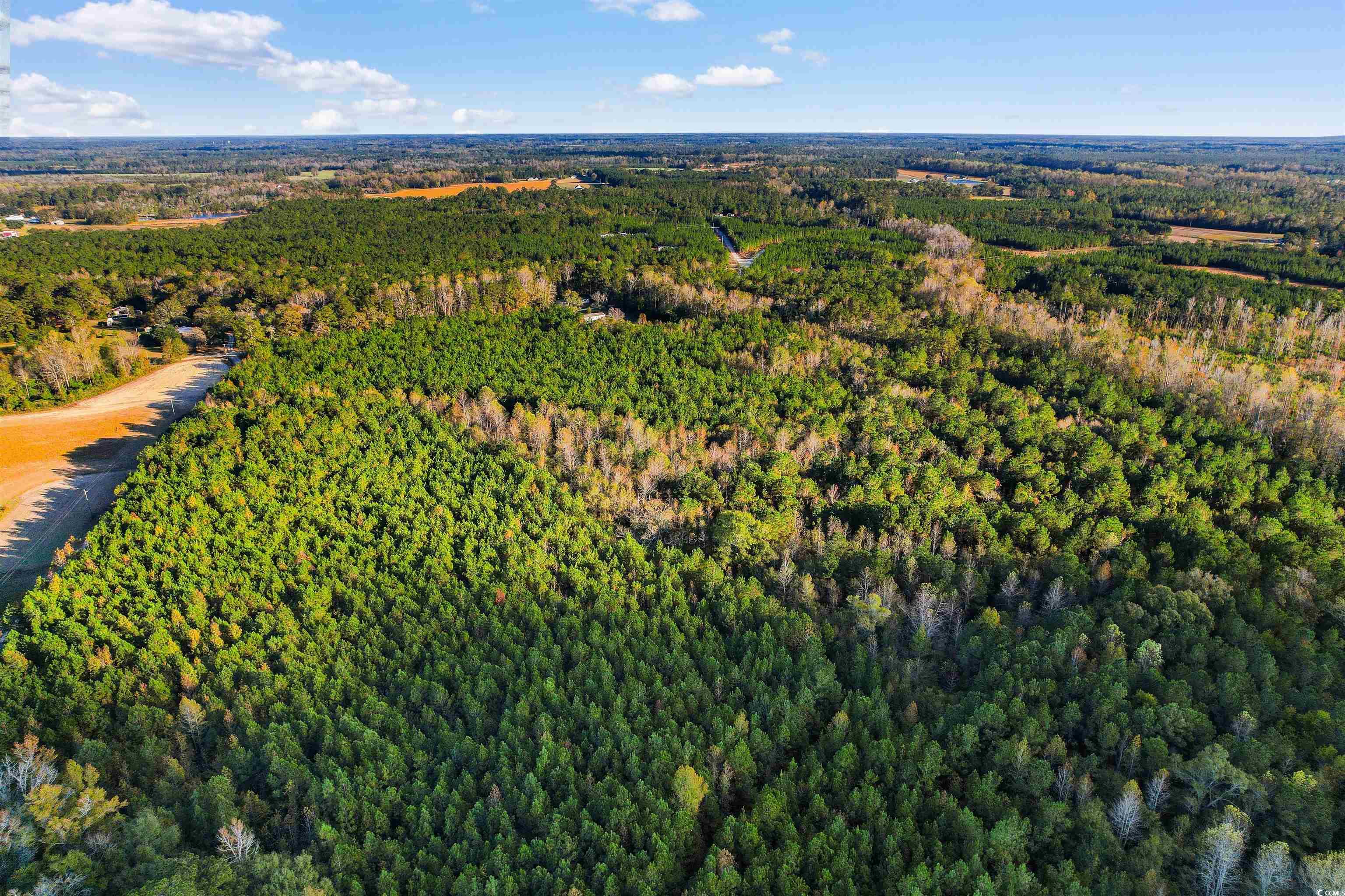 Tbd-lot 5 Oneal Road Loris, SC 29569 - Photo 8 of 13 Aerial view