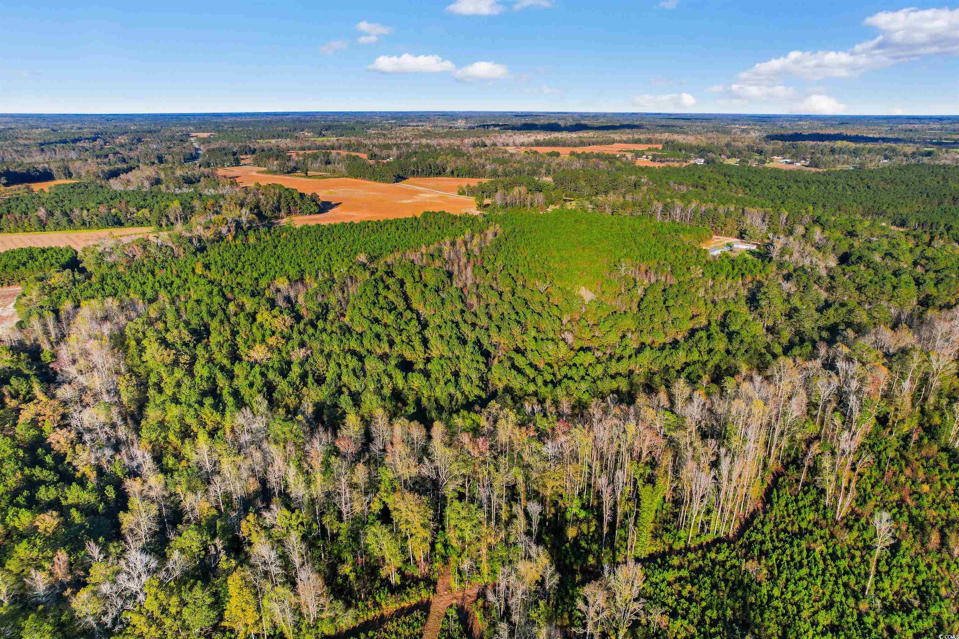 Tbd-lot 5 Oneal Road Loris, SC 29569 - Photo 9 of 13 Aerial view