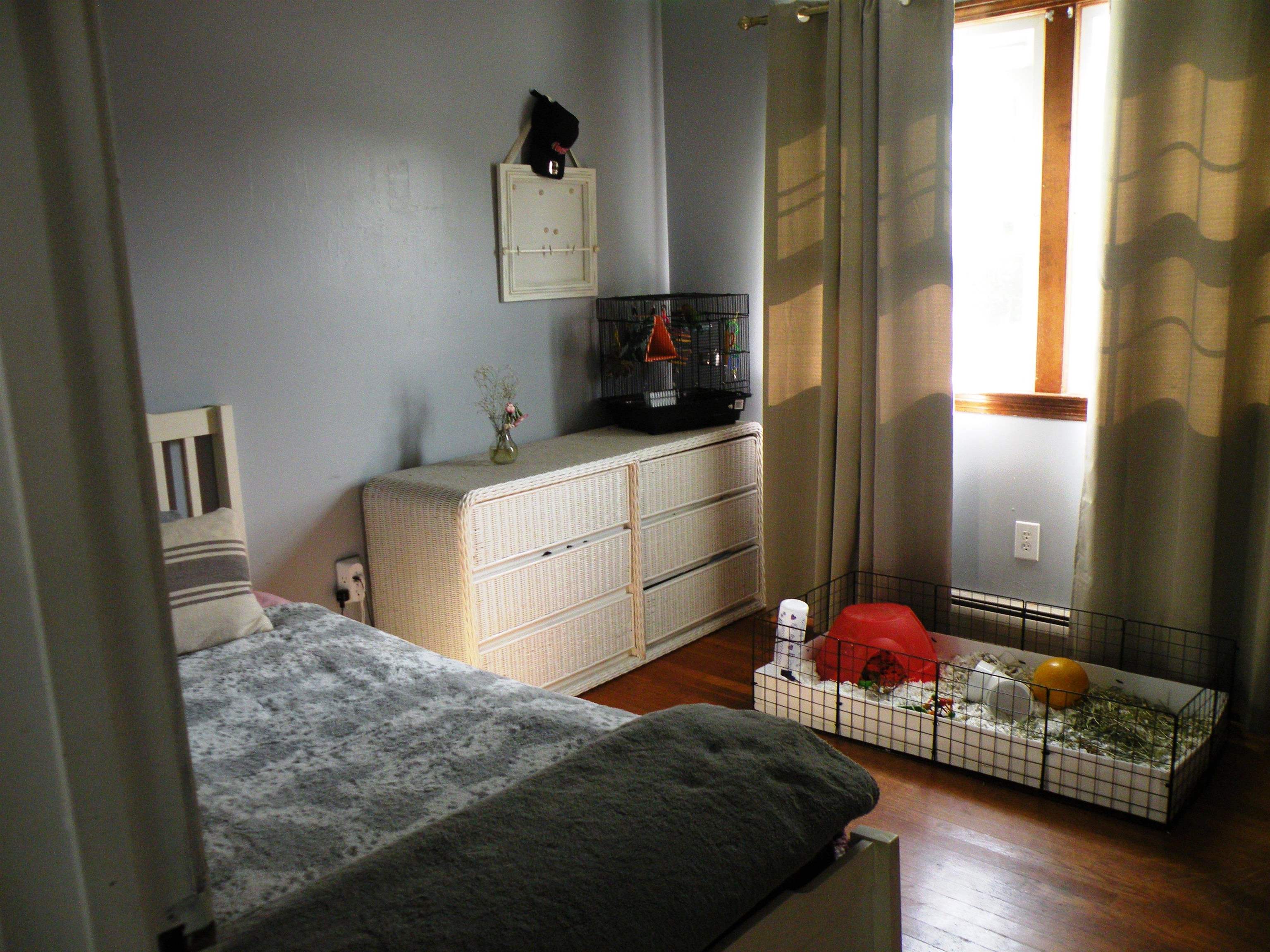 4 Kemo Circle Litchfield, NH 03052 - Photo 13 of 19