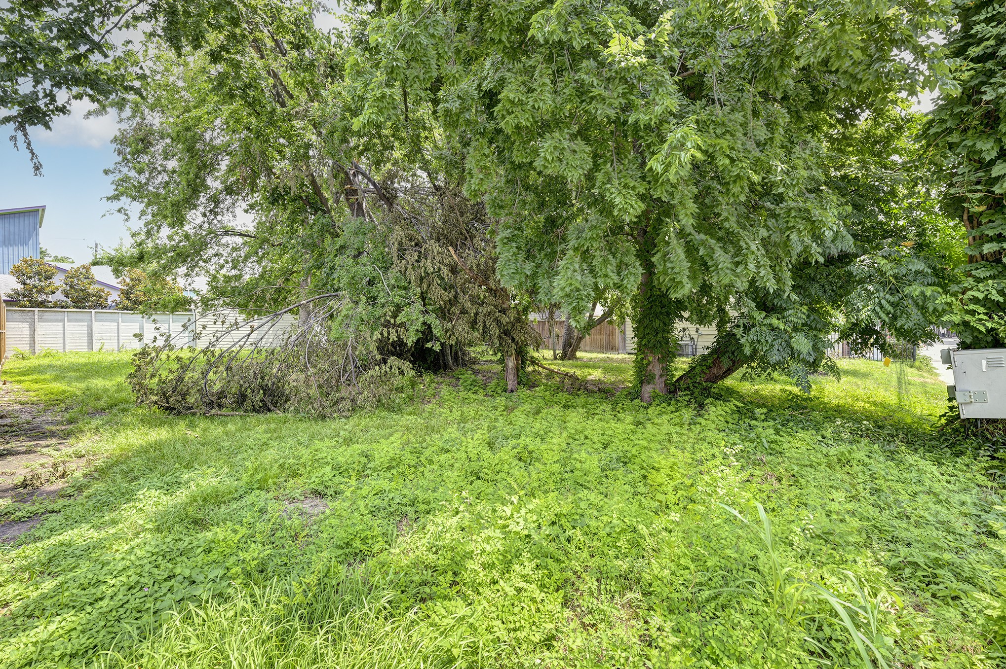 0 Ruthven Street Houston, TX 77019 - Photo 4 of 8 a view of yard with green space