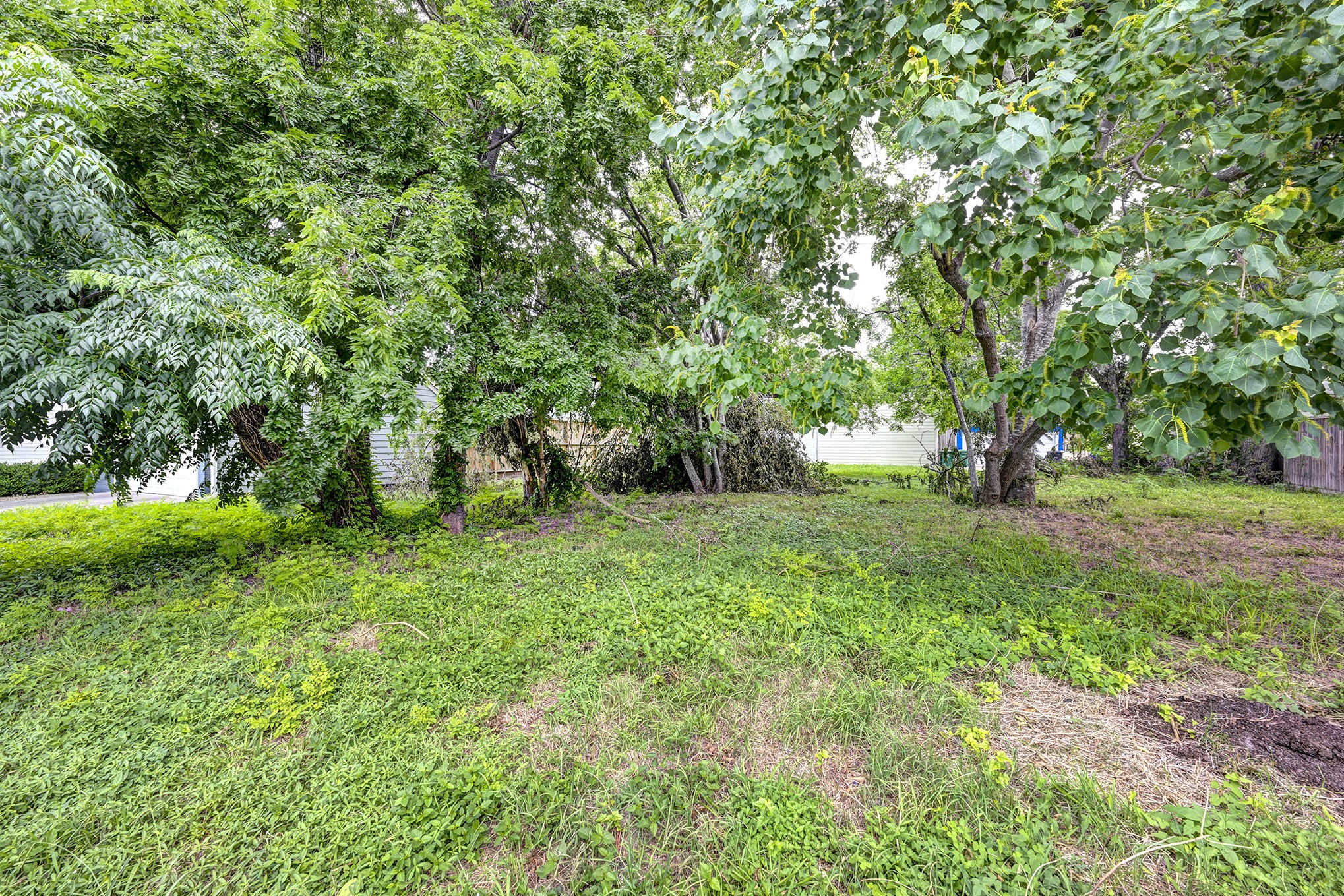 0 Ruthven Street Houston, TX 77019 - Photo 6 of 8 a view of outdoor space and yard