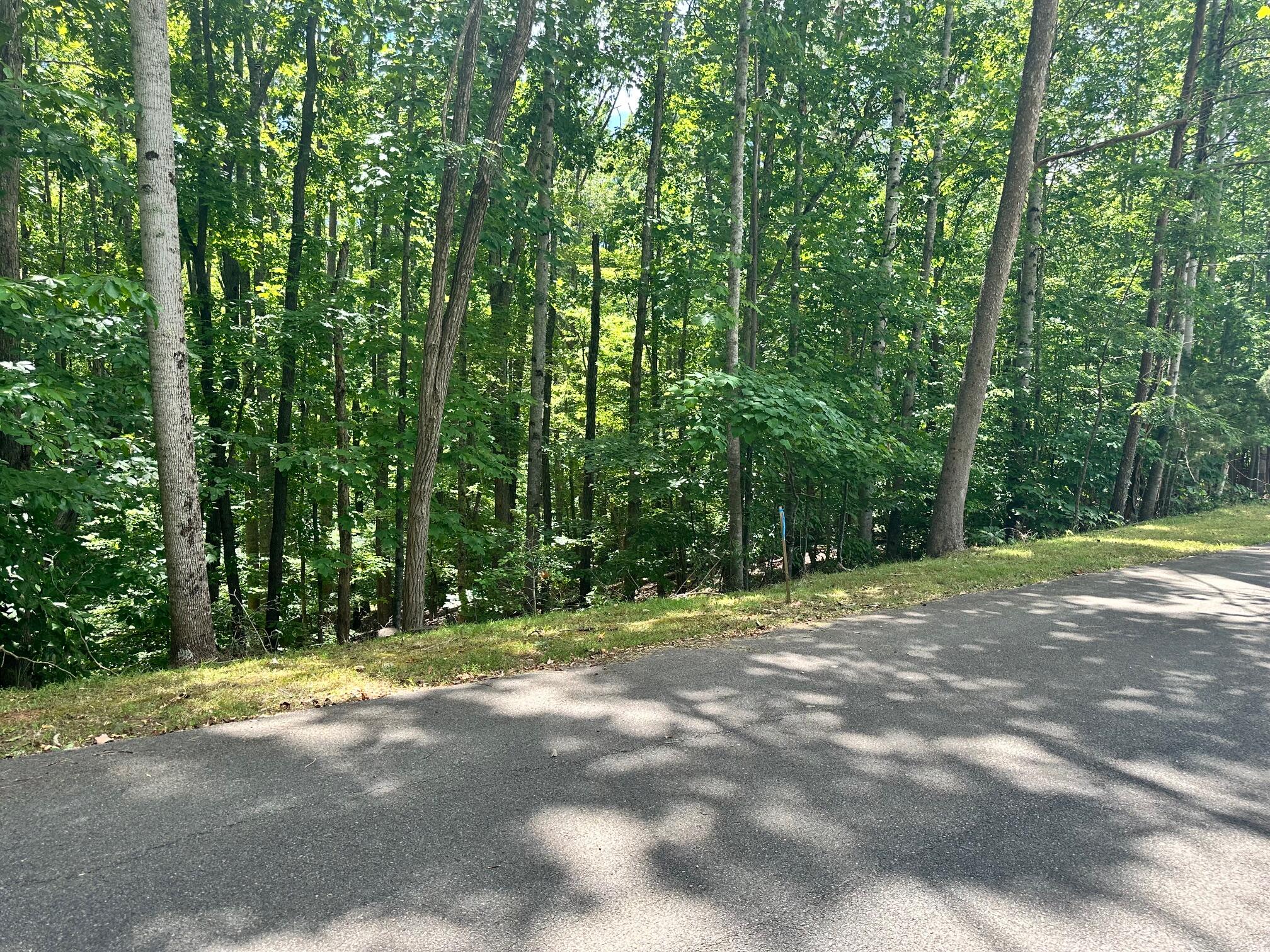 Lot 65 Ridgeway Court Moneta, VA 24121 - Photo 3 of 11 IMG_8777