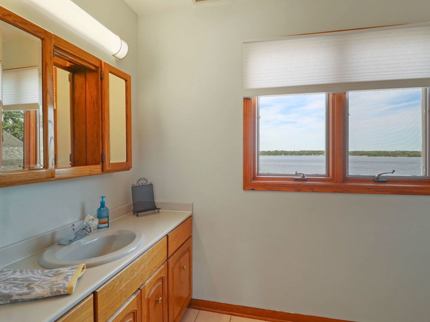 132 Eagle Point Road Fox Lake, IL 60020 - Photo 30 of 63 a bathroom with a granite countertop sink and a window