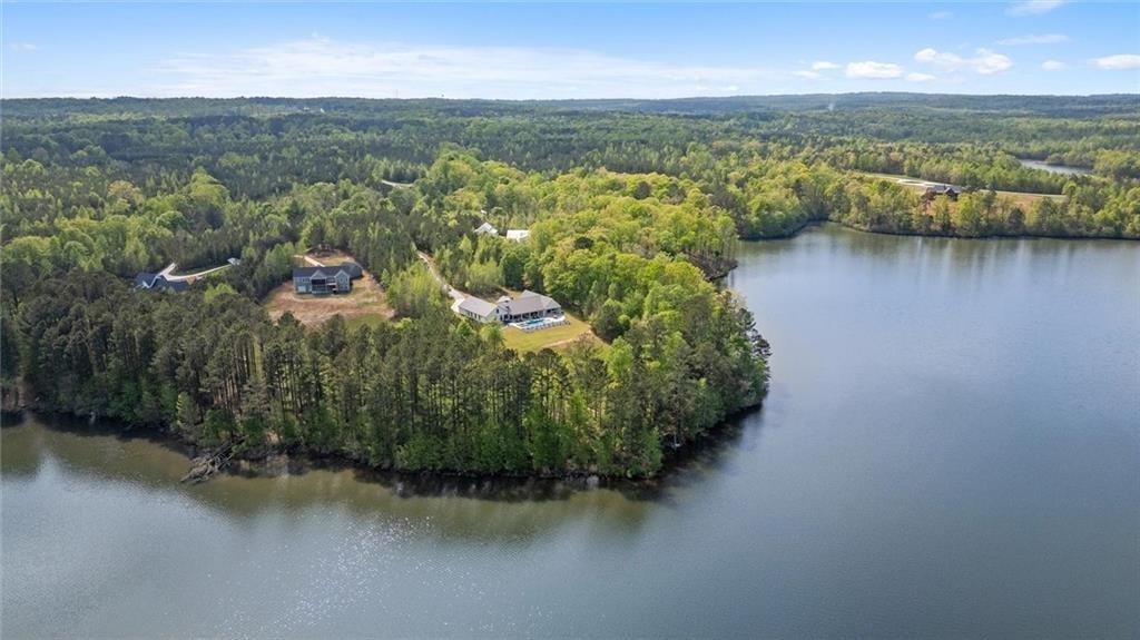840 Old Driver Road Whitesburg, GA 30185 - Photo 88 of 88 an aerial view of residential houses with outdoor space and lake view