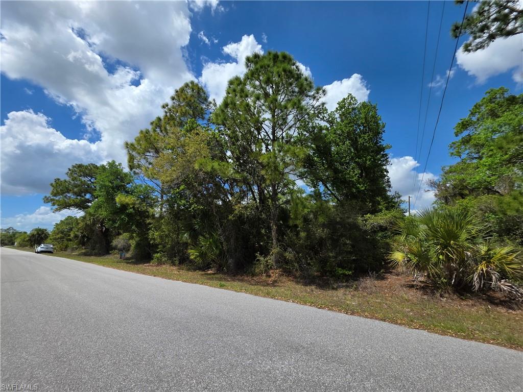 15530 Ravine Avenue Port Charlotte, FL 33953 - Photo 5 of 5 a view of a yard with plants and trees