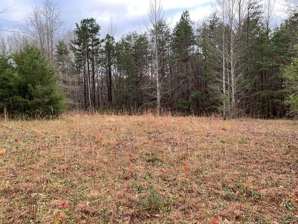 Deer Ridge Trail South Boston, VA 24592 - Photo 5 of 10 Gallery Image 5