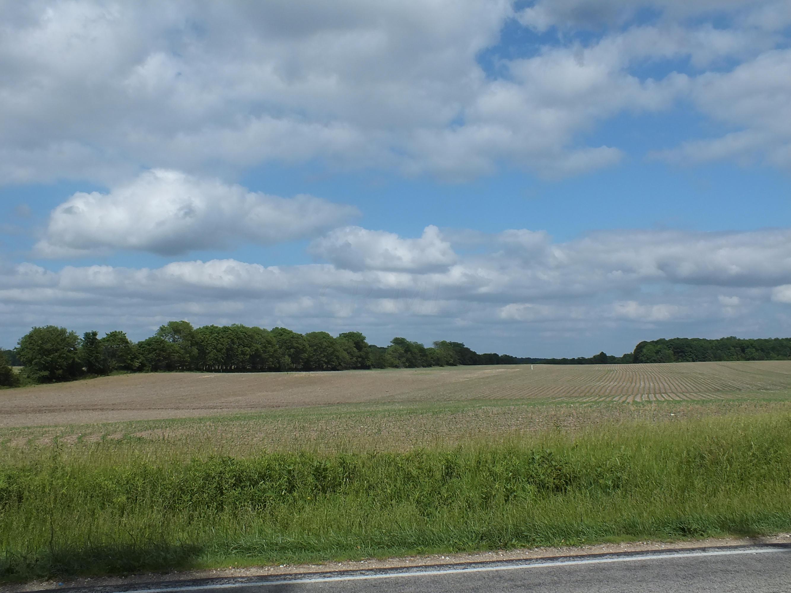 0 State Route 203 Delaware, OH 43015 - Photo 3 of 13 Gallery Image 3