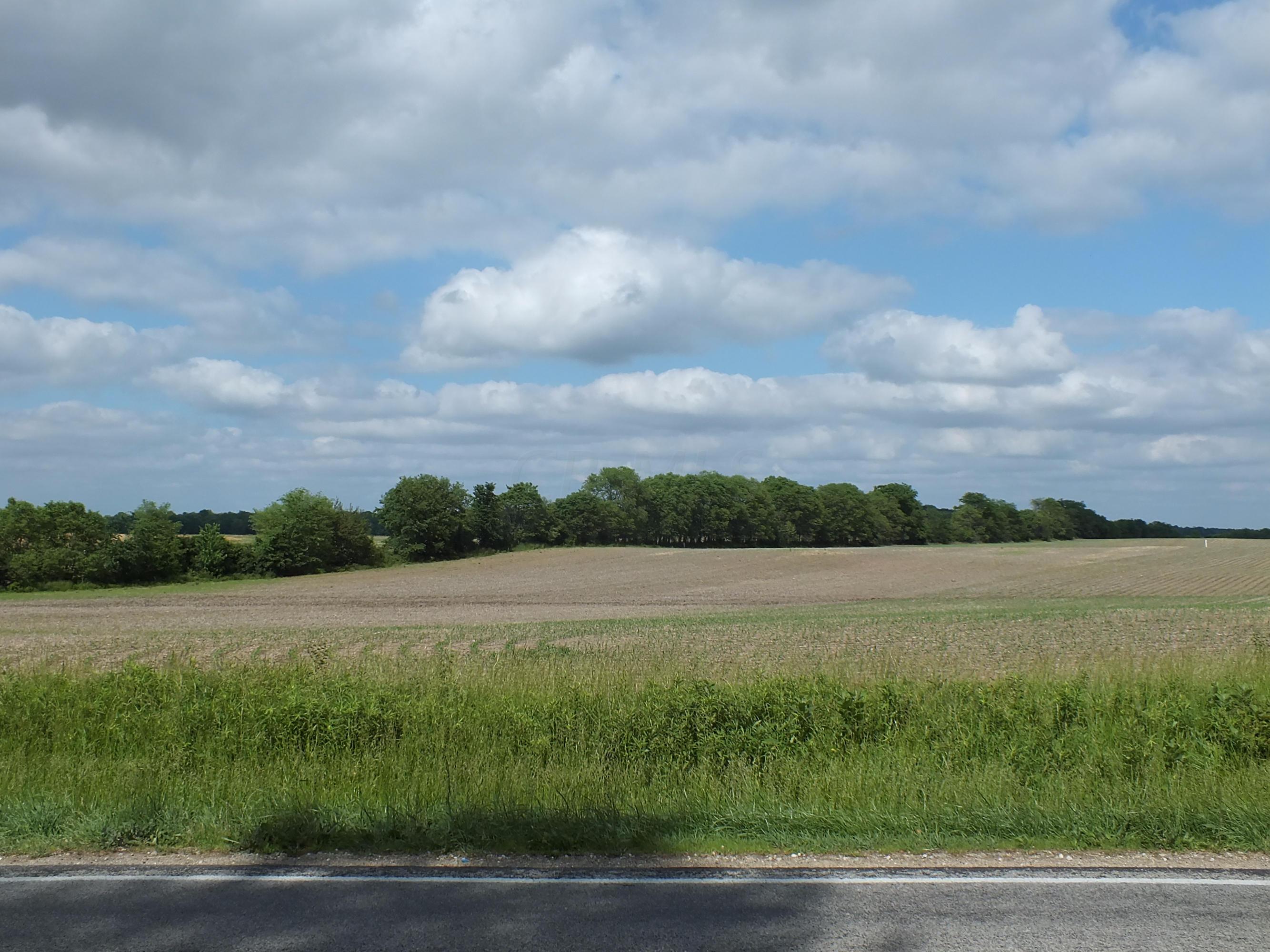 0 State Route 203 Delaware, OH 43015 - Photo 4 of 13 Gallery Image 4