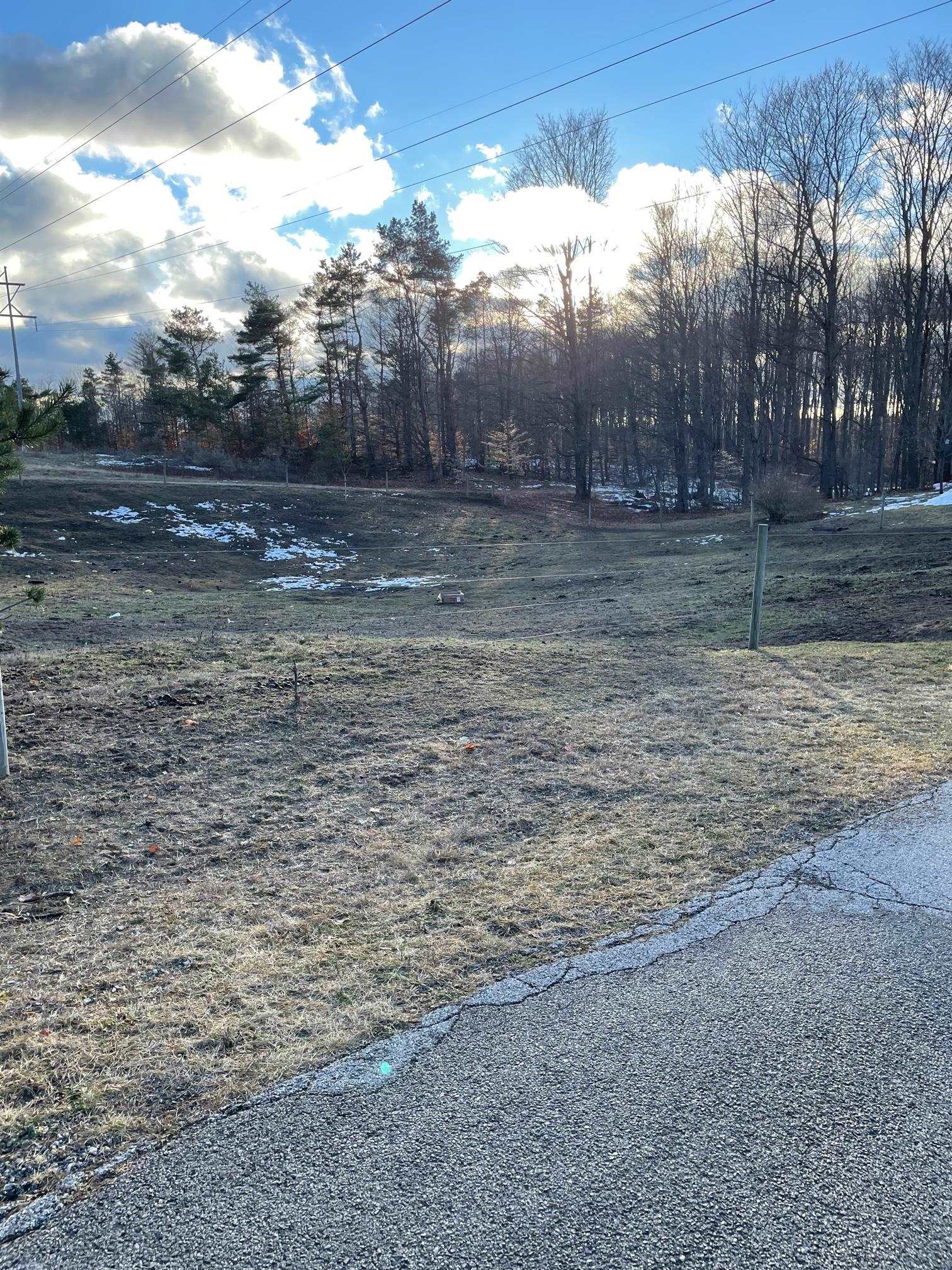 13326 Harlan Road Copemish, MI 49625 - Photo 33 of 39
