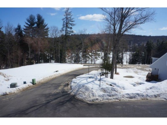 62 Collins Landing Road, Unit 58 Weare, NH 03281 - Photo 2 of 34 Gallery Image 2