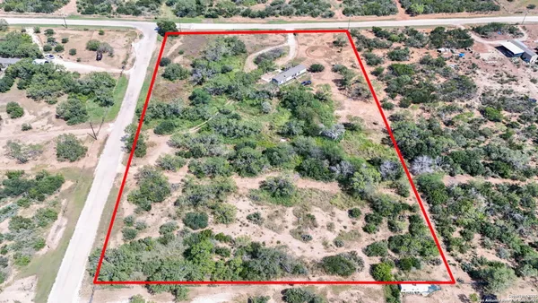 a view of a yard with plants