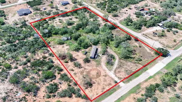 a picture of a tree with a flower garden