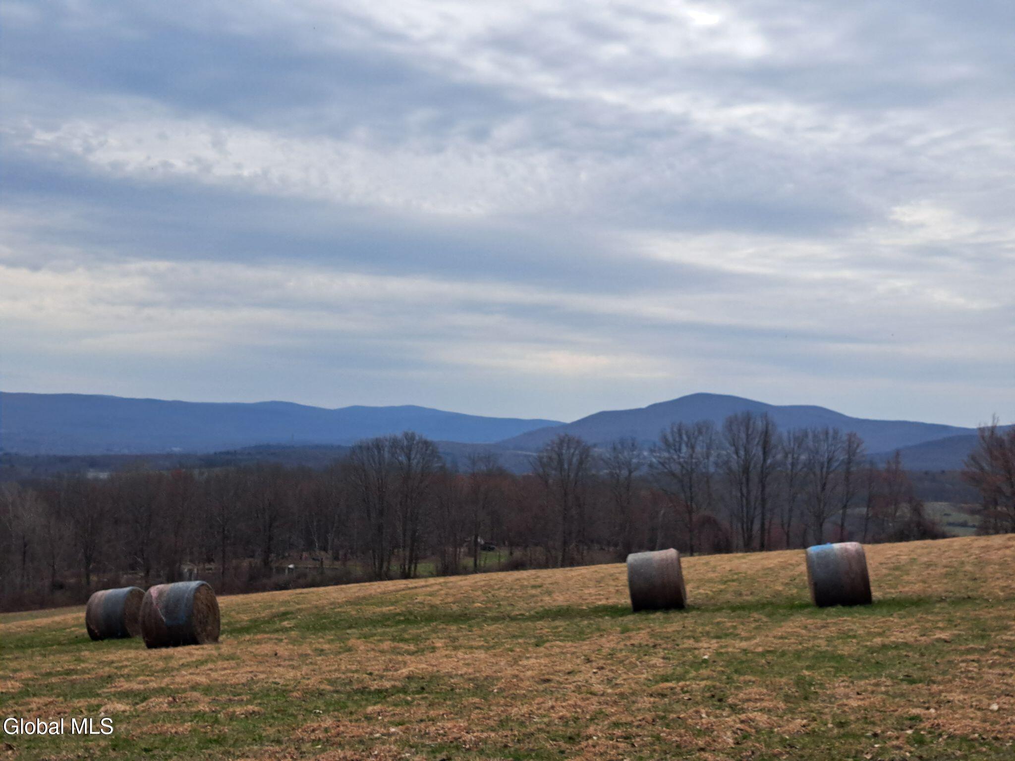 9.1 State Line Road White Creek, NY 12057 - Photo 11 of 72 12 Round Bales in April