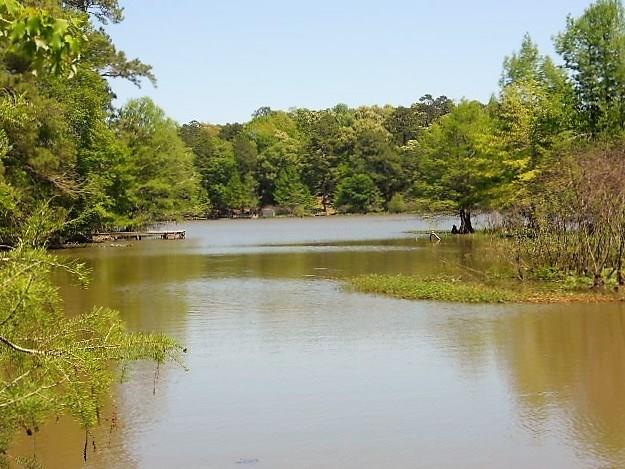 285 Miller Road Boyce, LA 71409 - Photo 7 of 19 Gallery Image 7