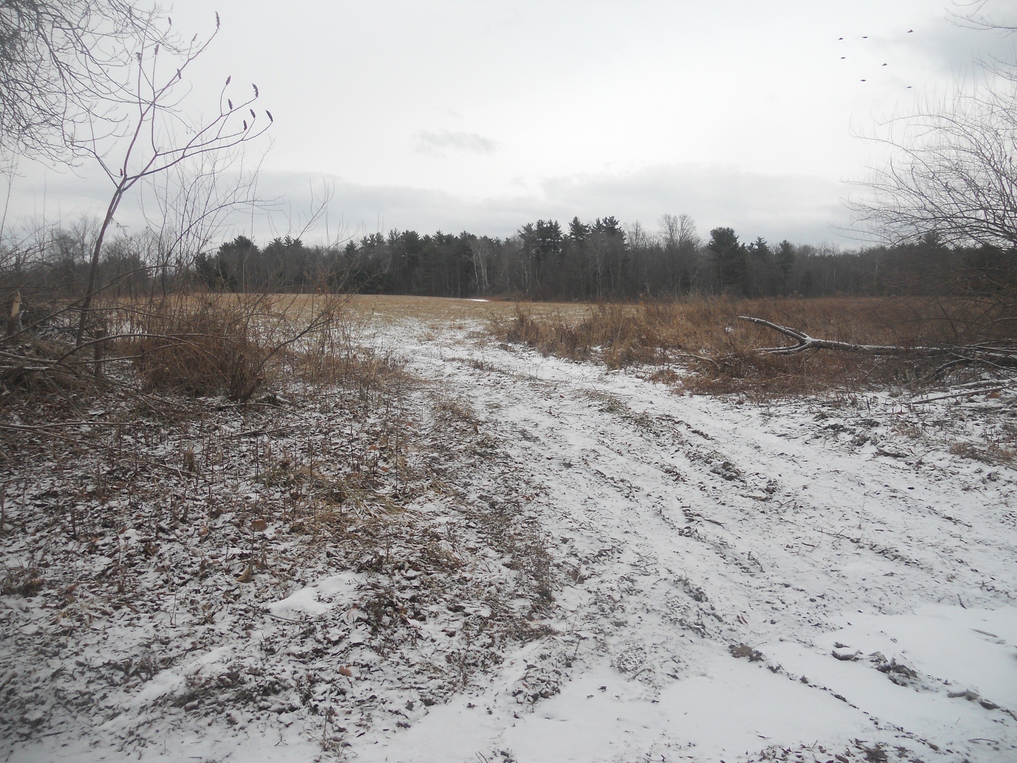 0 Poole Road Spencer, NY 14883 - Photo 15 of 43 Gallery Image 15