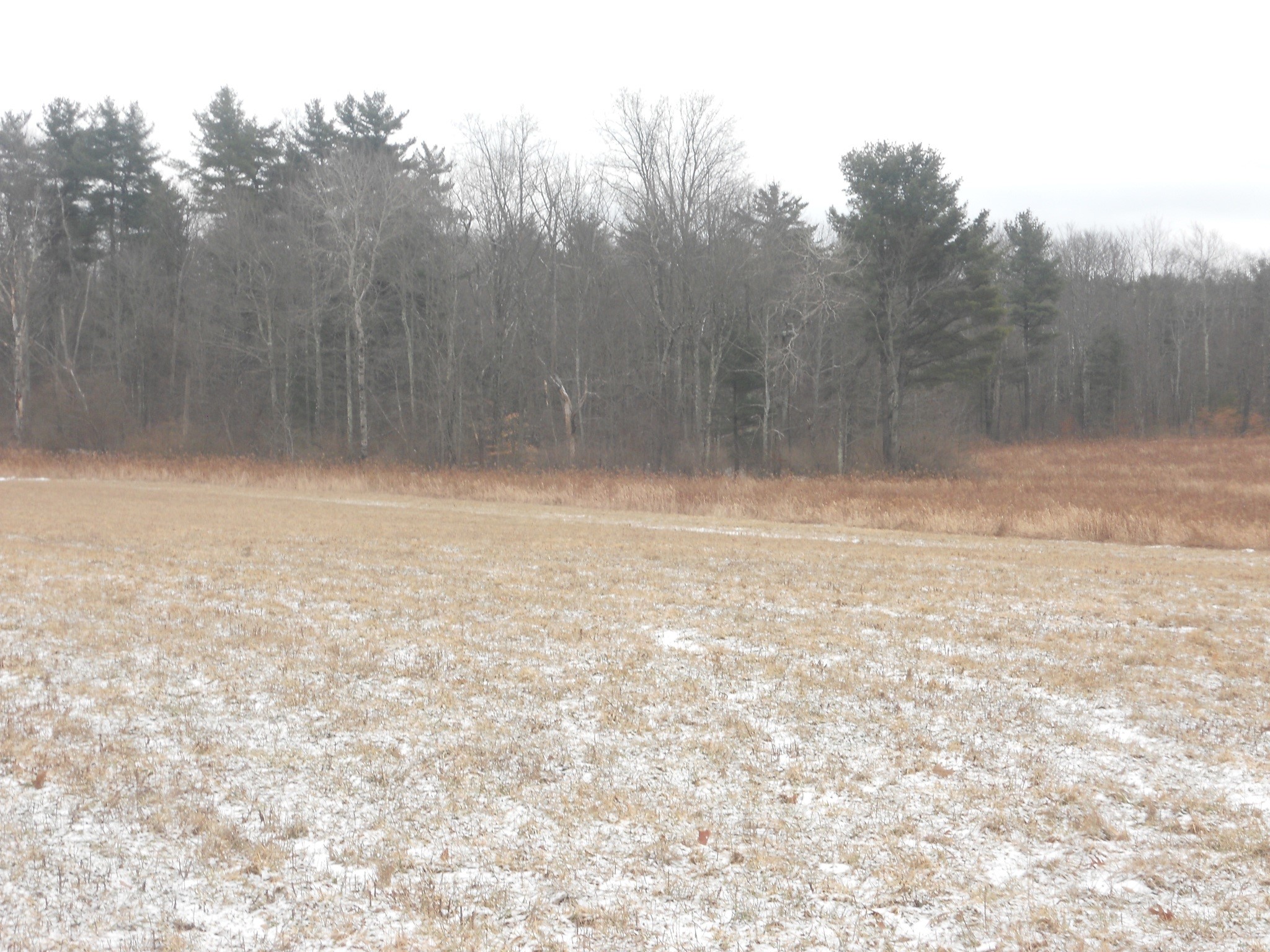 0 Poole Road Spencer, NY 14883 - Photo 17 of 43 Gallery Image 17