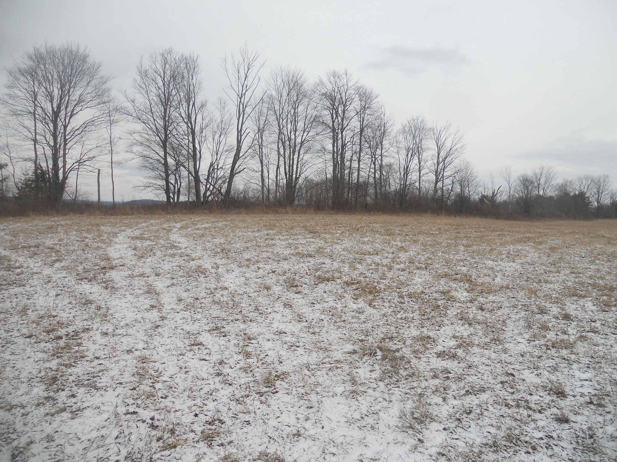 0 Poole Road Spencer, NY 14883 - Photo 18 of 43 Gallery Image 18