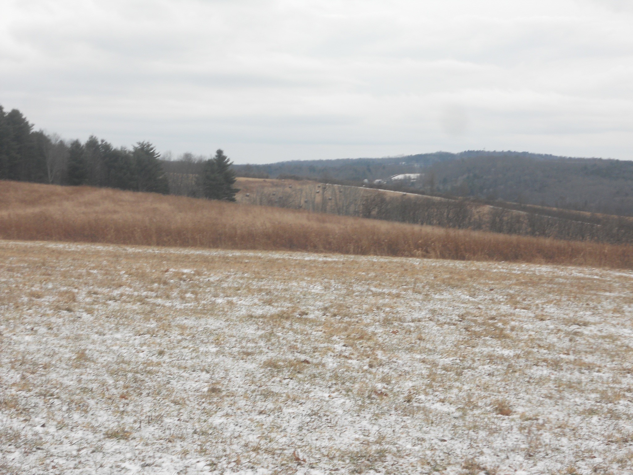 0 Poole Road Spencer, NY 14883 - Photo 19 of 43 Gallery Image 19