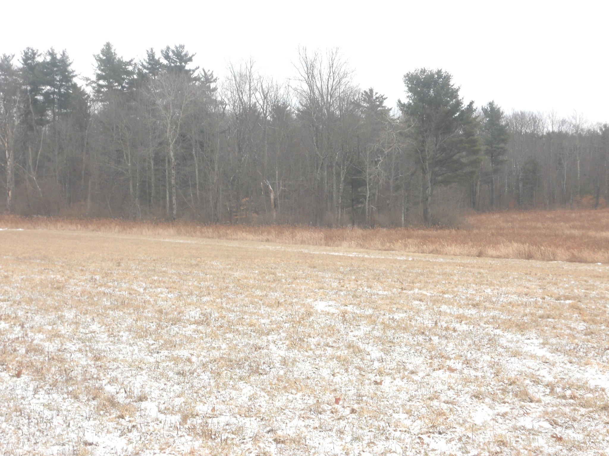 0 Poole Road Spencer, NY 14883 - Photo 22 of 43 Gallery Image 22